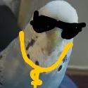 4189swaggggbirb