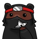 BearNinja