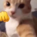 punch_cat Discord Emoji