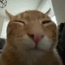 Untitleddesign20240505T221507