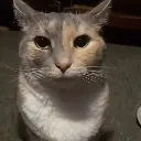 stare