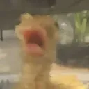 anguish anguish
