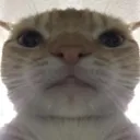 emoji_36 emoji_36