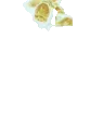 FSShadowImHere