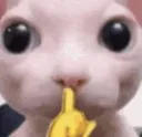 shush
