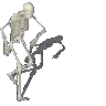 skeledance