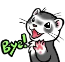 ferret_bye