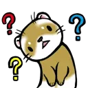 ferret_confused
