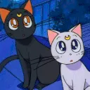 bed_Y_sailor_moon_luna_stare