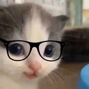 Heheglasses