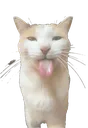 Blerp