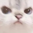 emoji_50