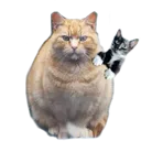 emoji_101