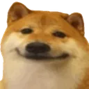 doggy_smile