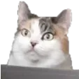 OhShitFlipje