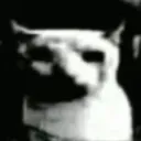 bleh