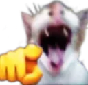 catLaugh