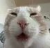 que