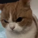 ANGYsideeye
