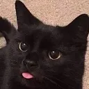 Blep