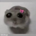6k