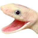 emoji_106