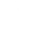 White_Hypesquad