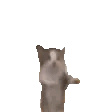 gianbortioncat Discord Emoji