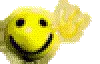 hi