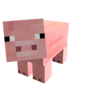 suar