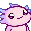 hi hi