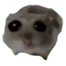 sadhampter sadhampter