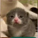 Screenshot_20240504225713918_com