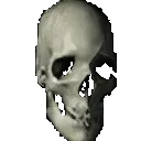 skullskull