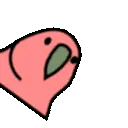 spinningparrot