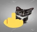 Middlefinger Cat middlefingercat Discord Emoji