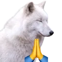 wolf_prayer