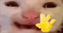 hiii
