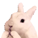 bunGigga bunGigga