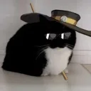 johnnycat