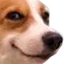 smug