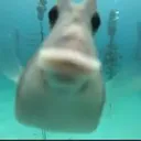 dd392701eedabcffb61d94eb62402a55