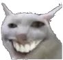 thecat thecat