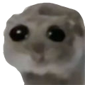 sadhamster Discord emoji