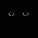 eyes