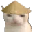 zz_backup