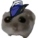 Clorham Clorham