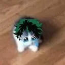 dekucat1