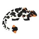 Ano