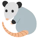 possum